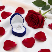 Caja de Anillo en Forma de Corazón Lujosa